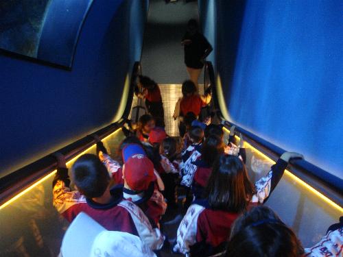 En el acuario