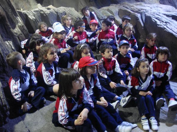 En el acuario