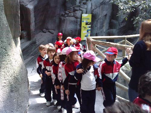 En el acuario