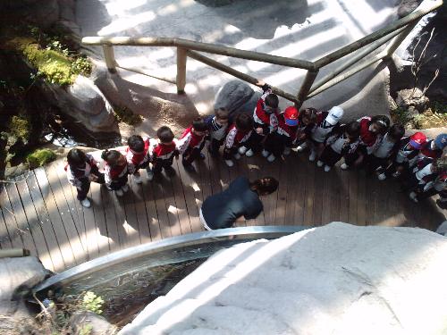 En el acuario