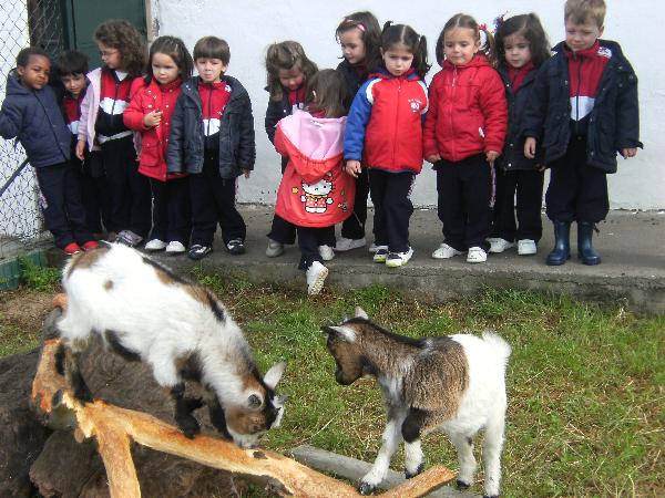 En la granja