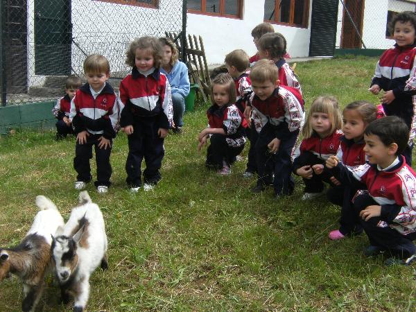 En la granja