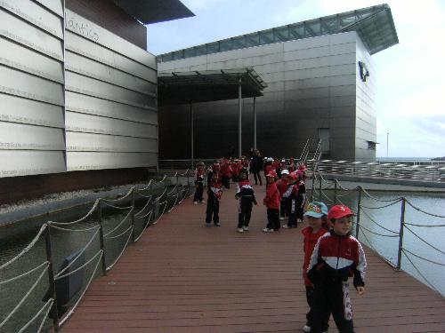 En el acuario