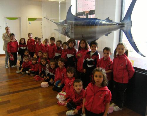 En el acuario
