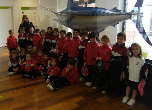 En el acuario