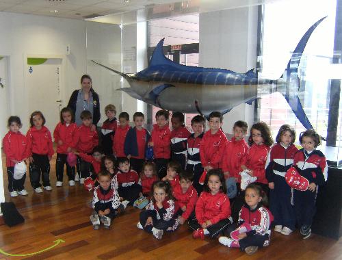 En el acuario