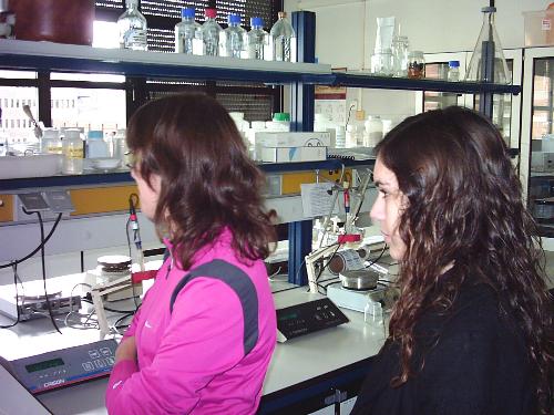 Cultivo in vitro
