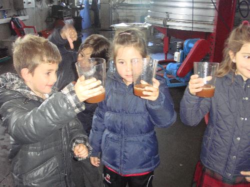 5 a�os en el LLagar