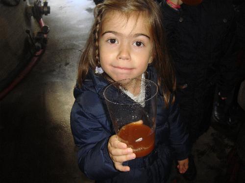 5 a�os en el LLagar