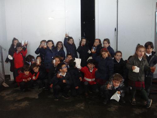 5 a�os en el LLagar