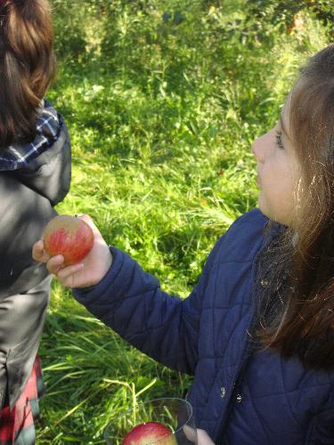5 a�os en el LLagar