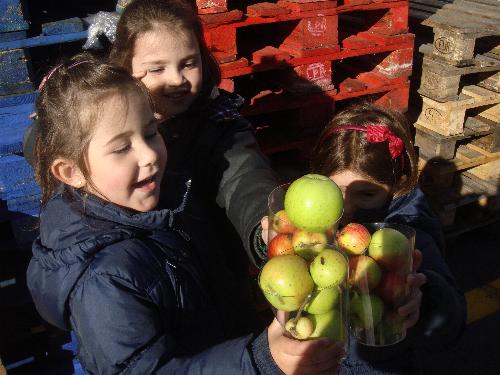 5 a�os en el LLagar