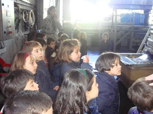 5 a�os en el LLagar