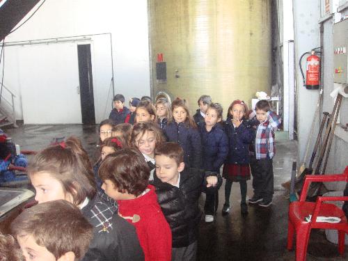 5 a�os en el LLagar
