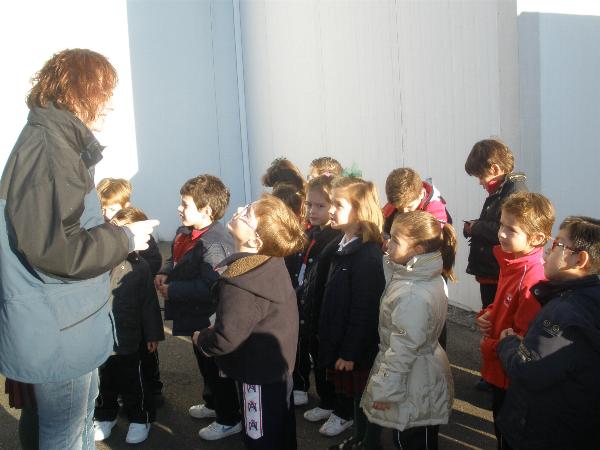 5 a�os en el LLagar
