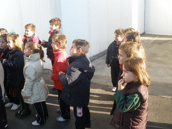 5 a�os en el LLagar
