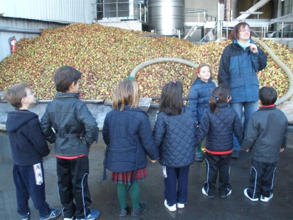 5 a�os en el LLagar