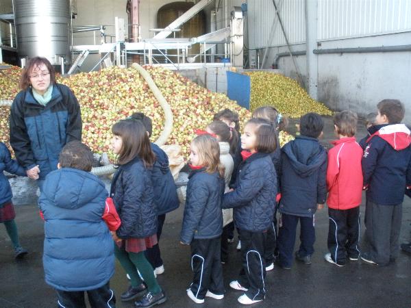 5 a�os en el LLagar