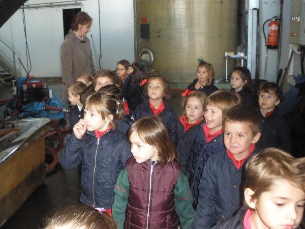 5 a�os en el LLagar
