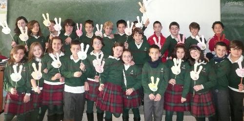 Paz 2011