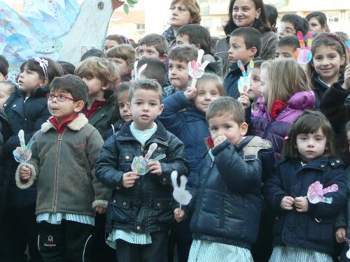 Paz 2011