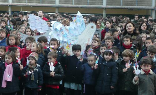 Paz 2011