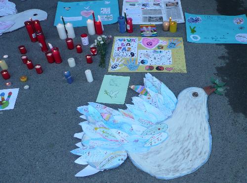 Paz 2011