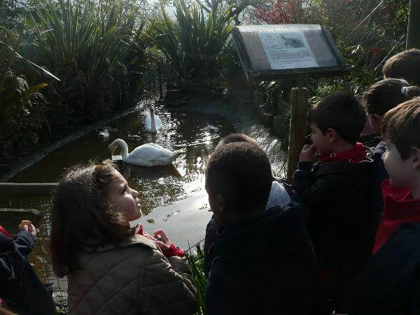 En el Zoo