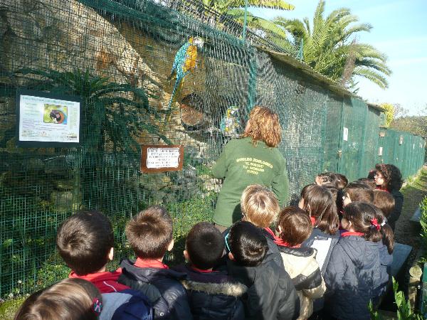 En el Zoo