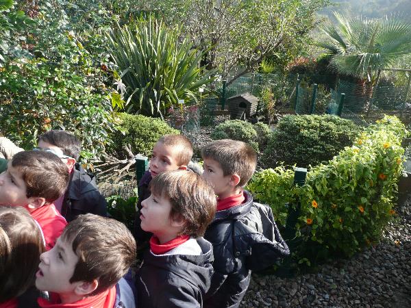 En el Zoo