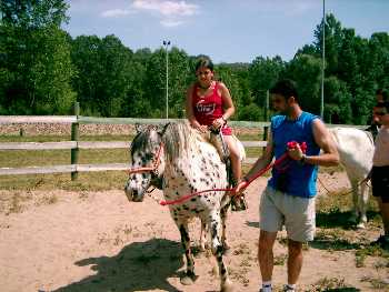 Verano 2004