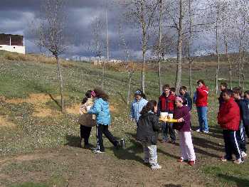 Convivencias 2005