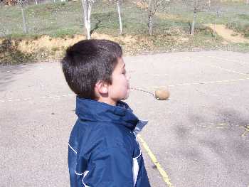 Convivencias 2005