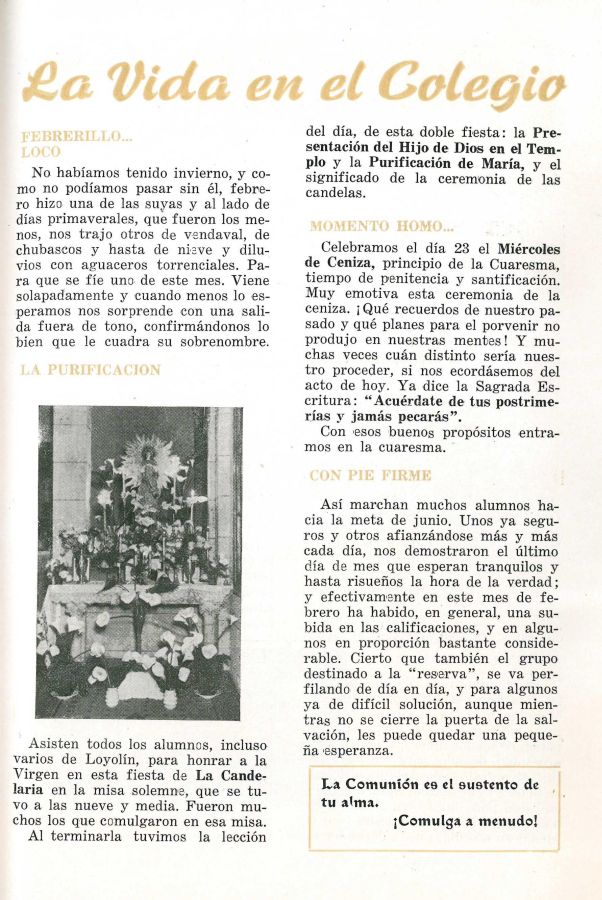 Memoria Escolar