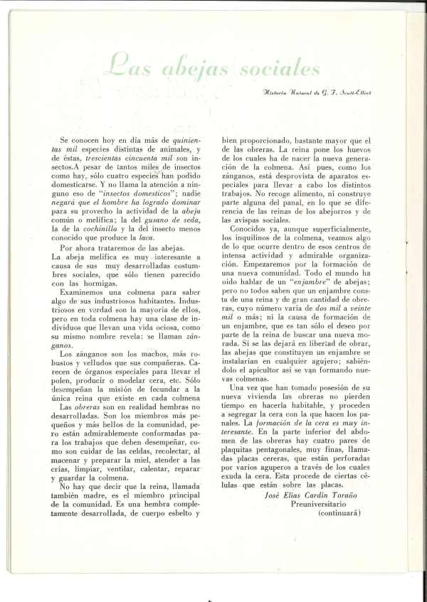 Memoria Escolar