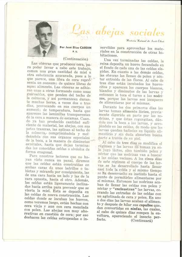 Memoria Escolar