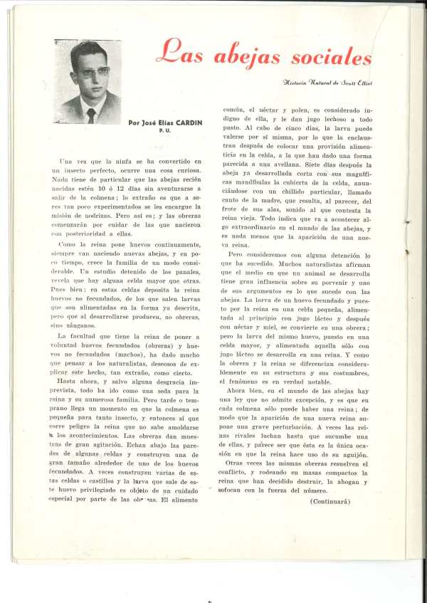 Memoria Escolar