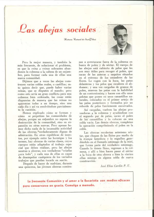 Memoria Escolar
